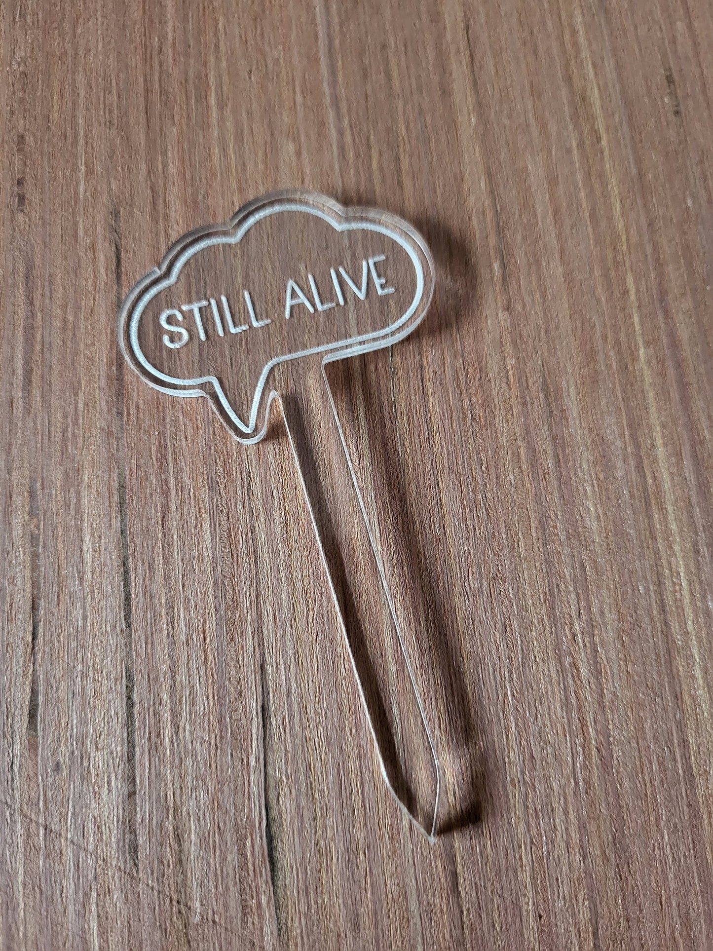 Fun Plant Markers - The perfect gift for any plant lover.