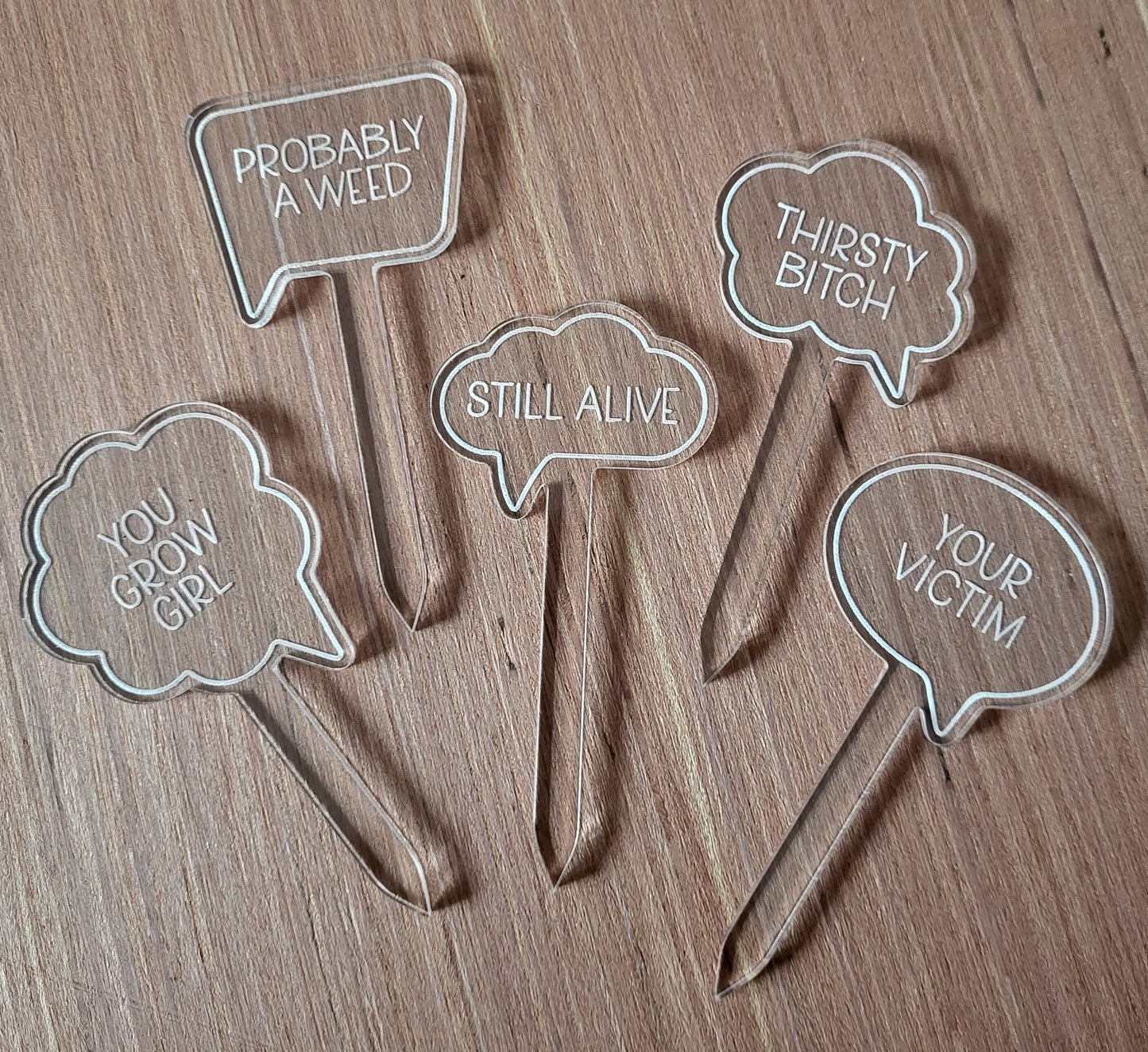 Fun Plant Markers - The perfect gift for any plant lover.