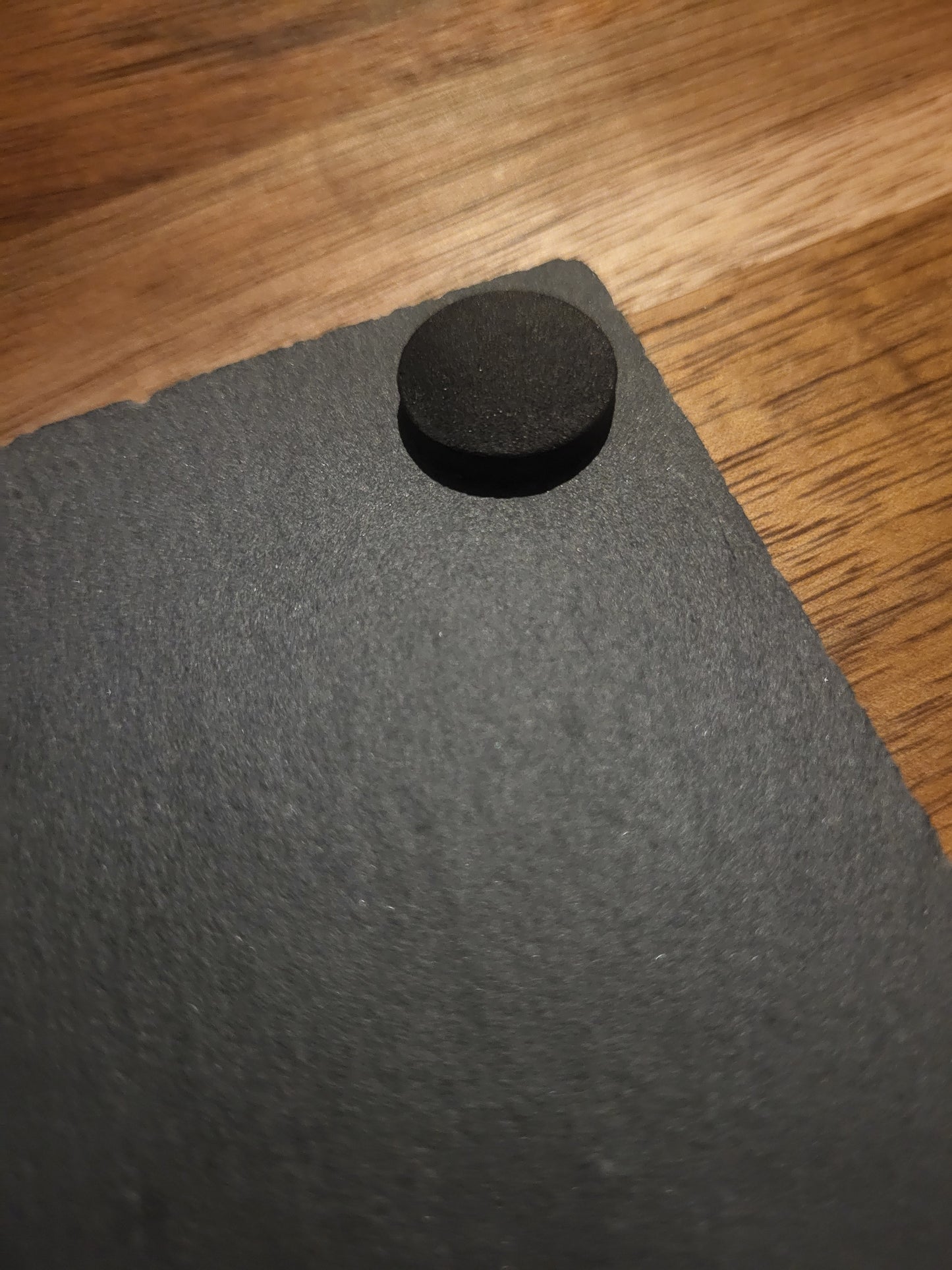 Slate Coaster - Tea Rex